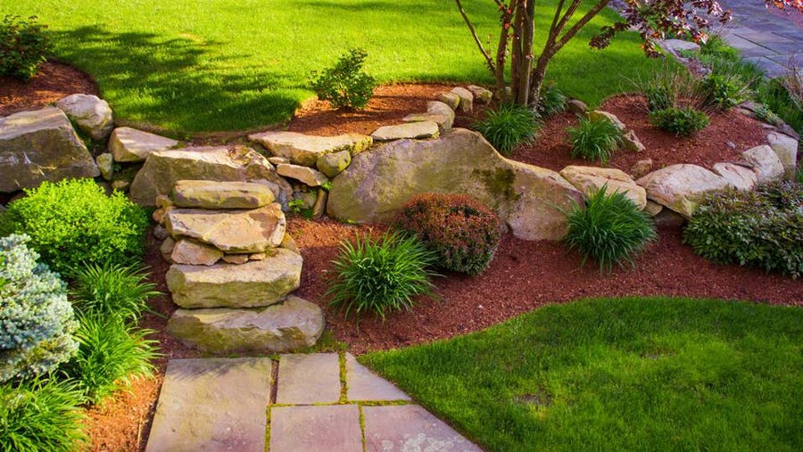 Backyard Landscape Design Ideas on a Budget